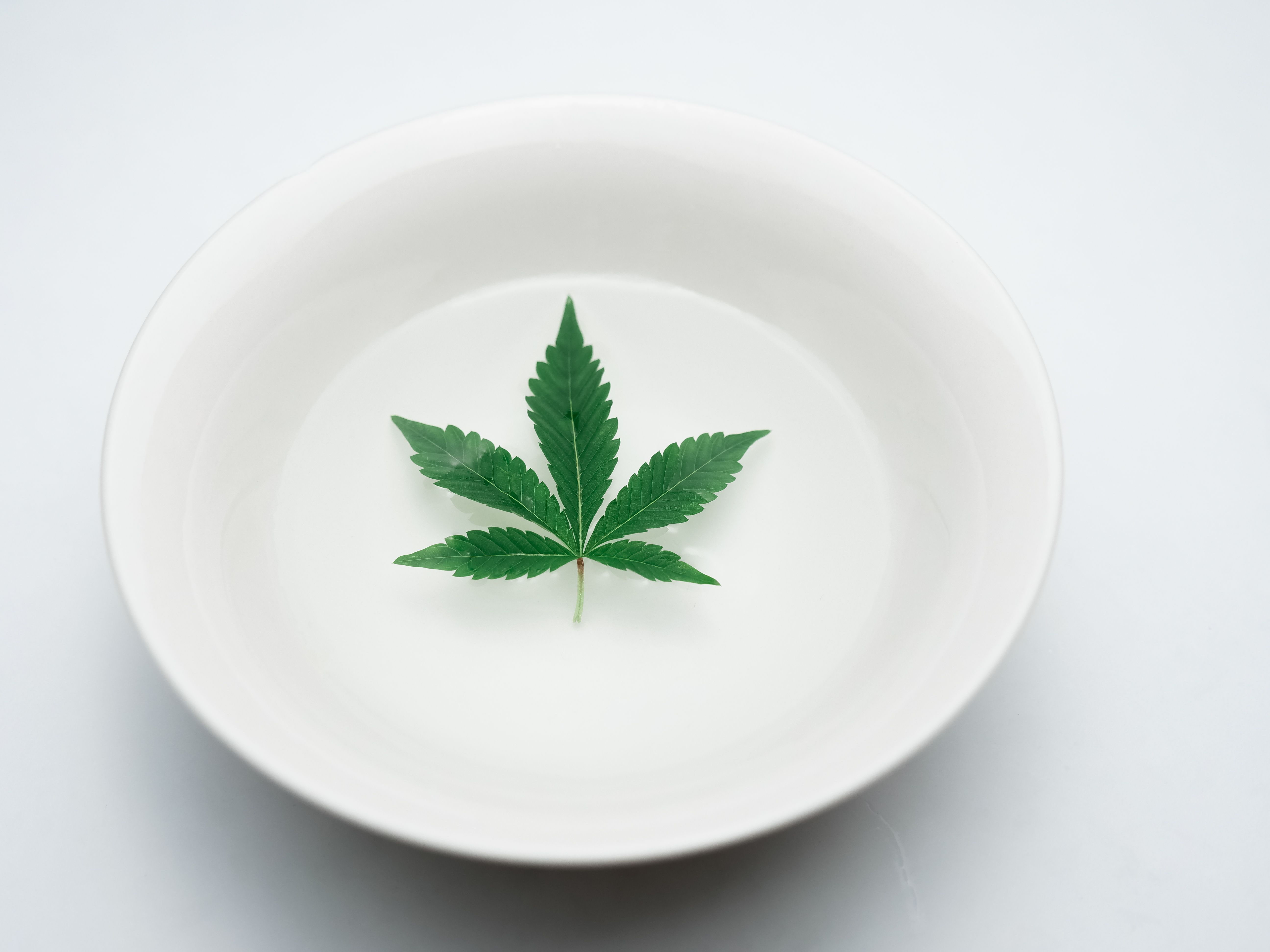cannabis hemp oil — Photo by Kindel Media on Pexels