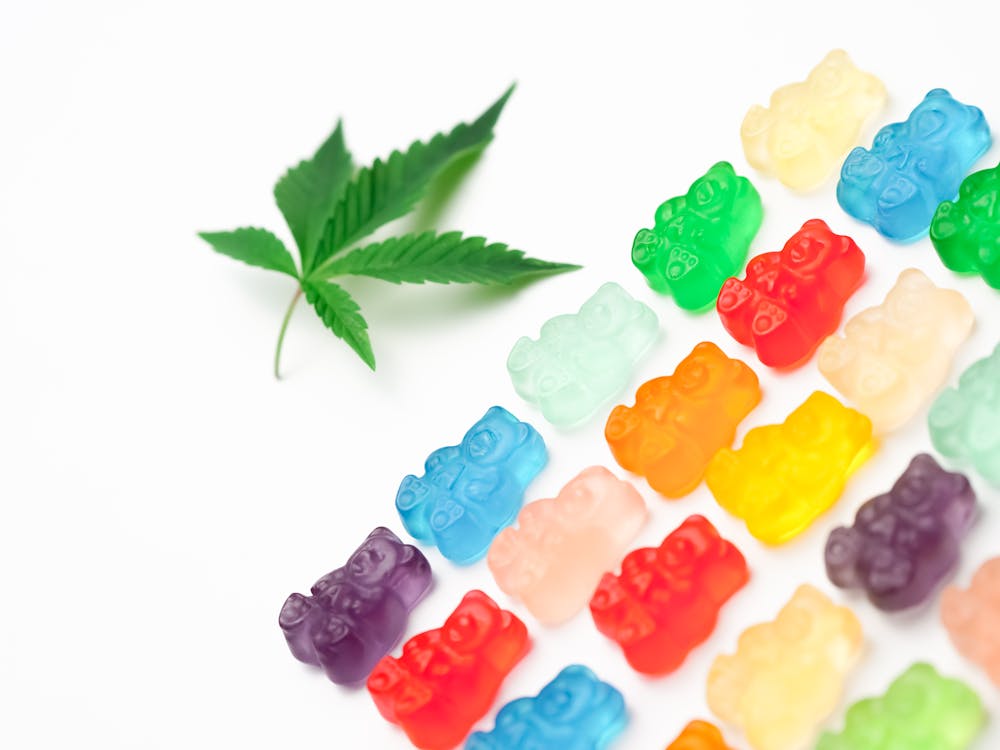 Free Photo Assorted Colored Gummy Bears on White Background Stock Photo