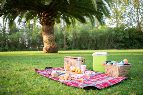 Immagine gratuita di cestini, cibo, coperta da picnic