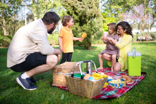 Immagine gratuita di bambini, donna, erba