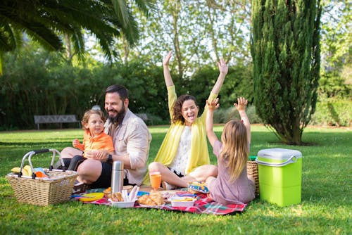 Family Having Fun at the Picnic