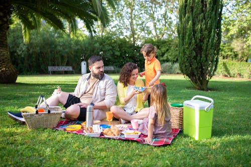 Family Having a Picnic