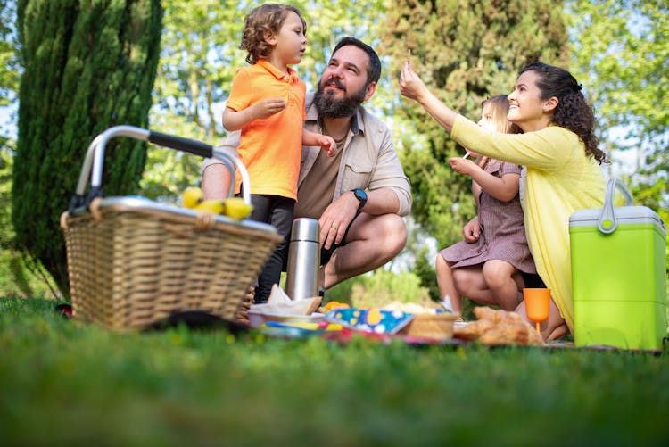 A Family Having A Picnic