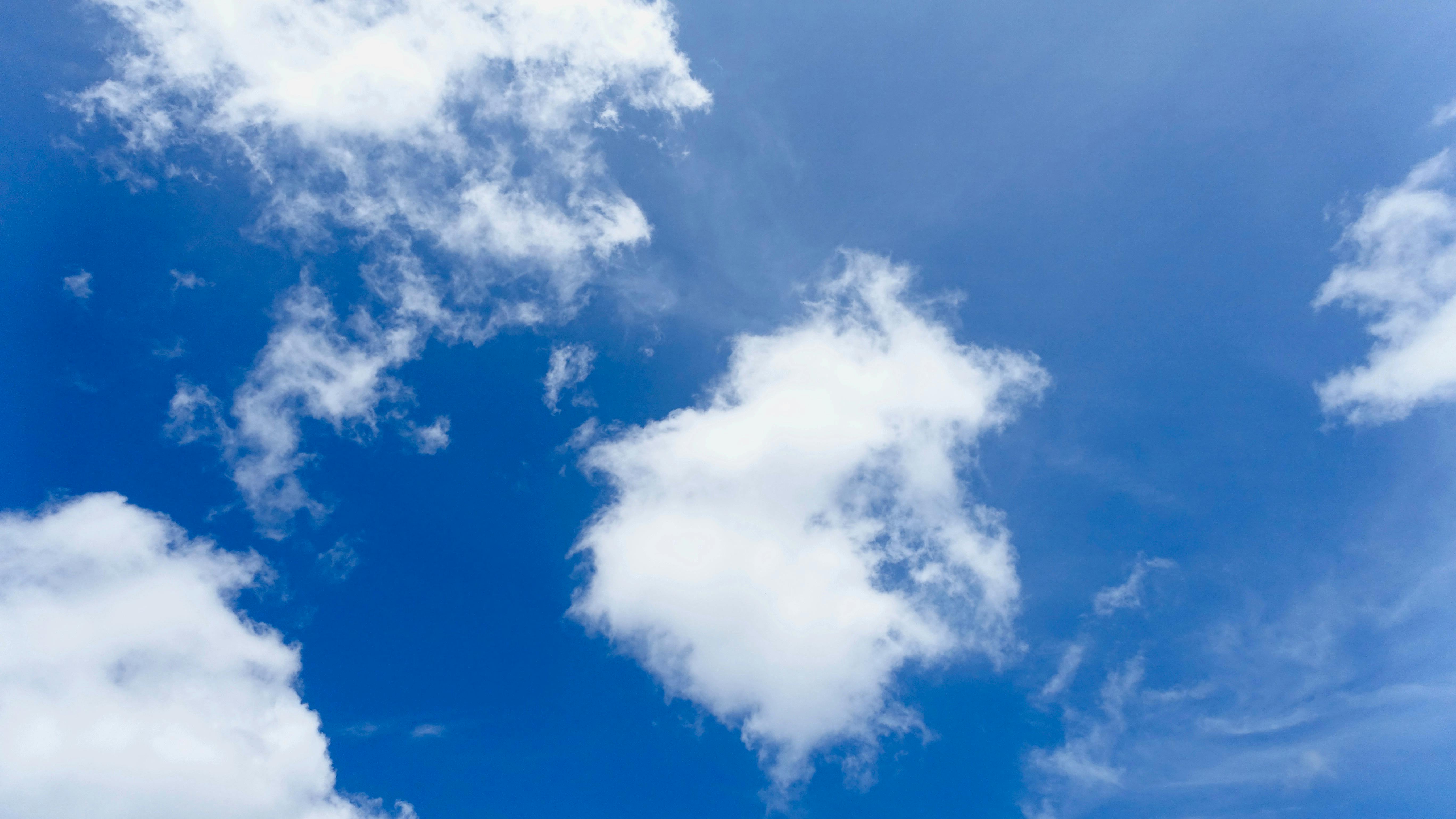 Free stock photo from Theresa · Pexels