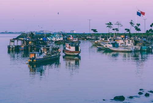 Foto d'estoc gratuïta de atracat, barques de pesca, embarcacions d'aigua