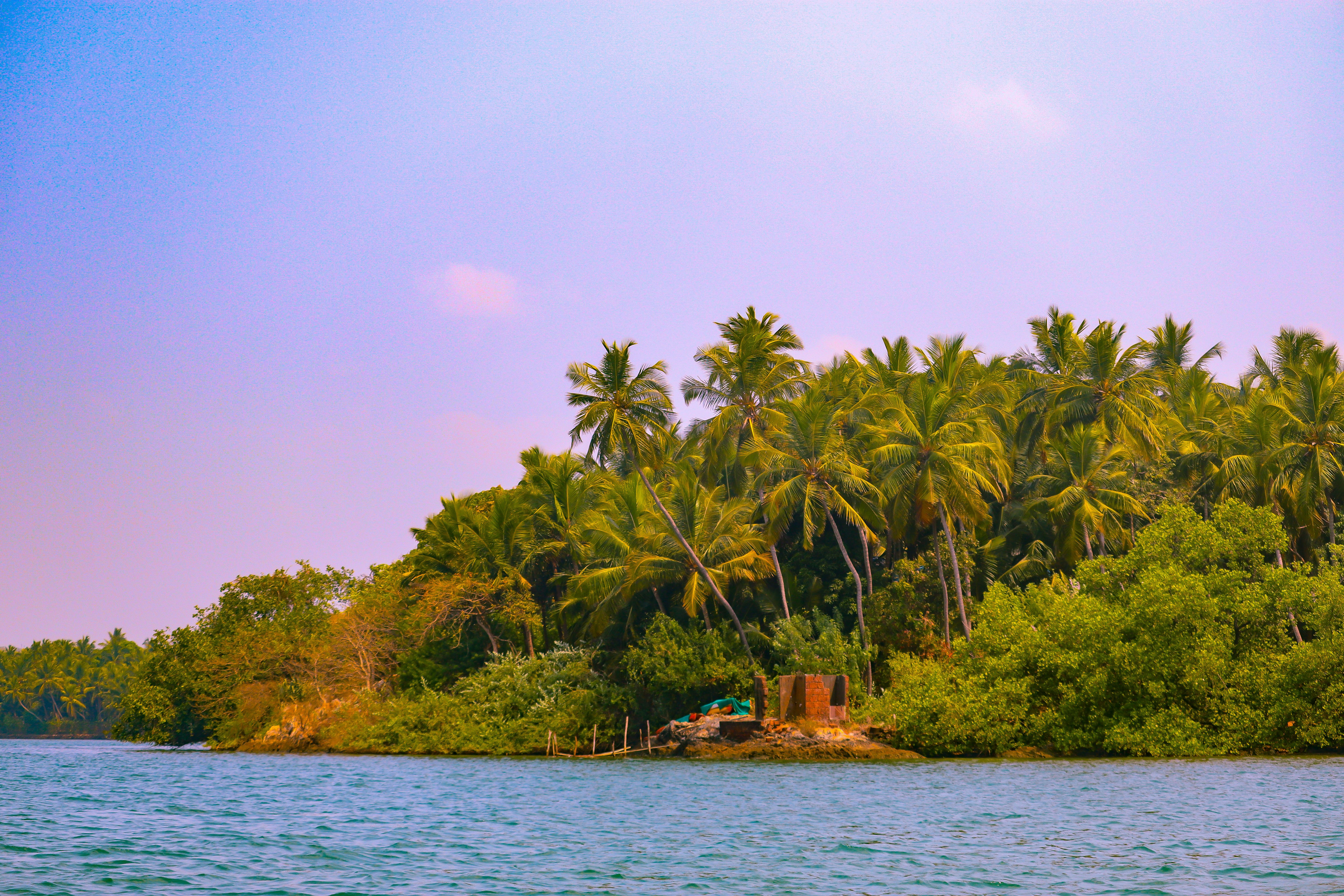 4 Day 'Relax and Revive" Yoga Vacation in Paradise of Goa 3