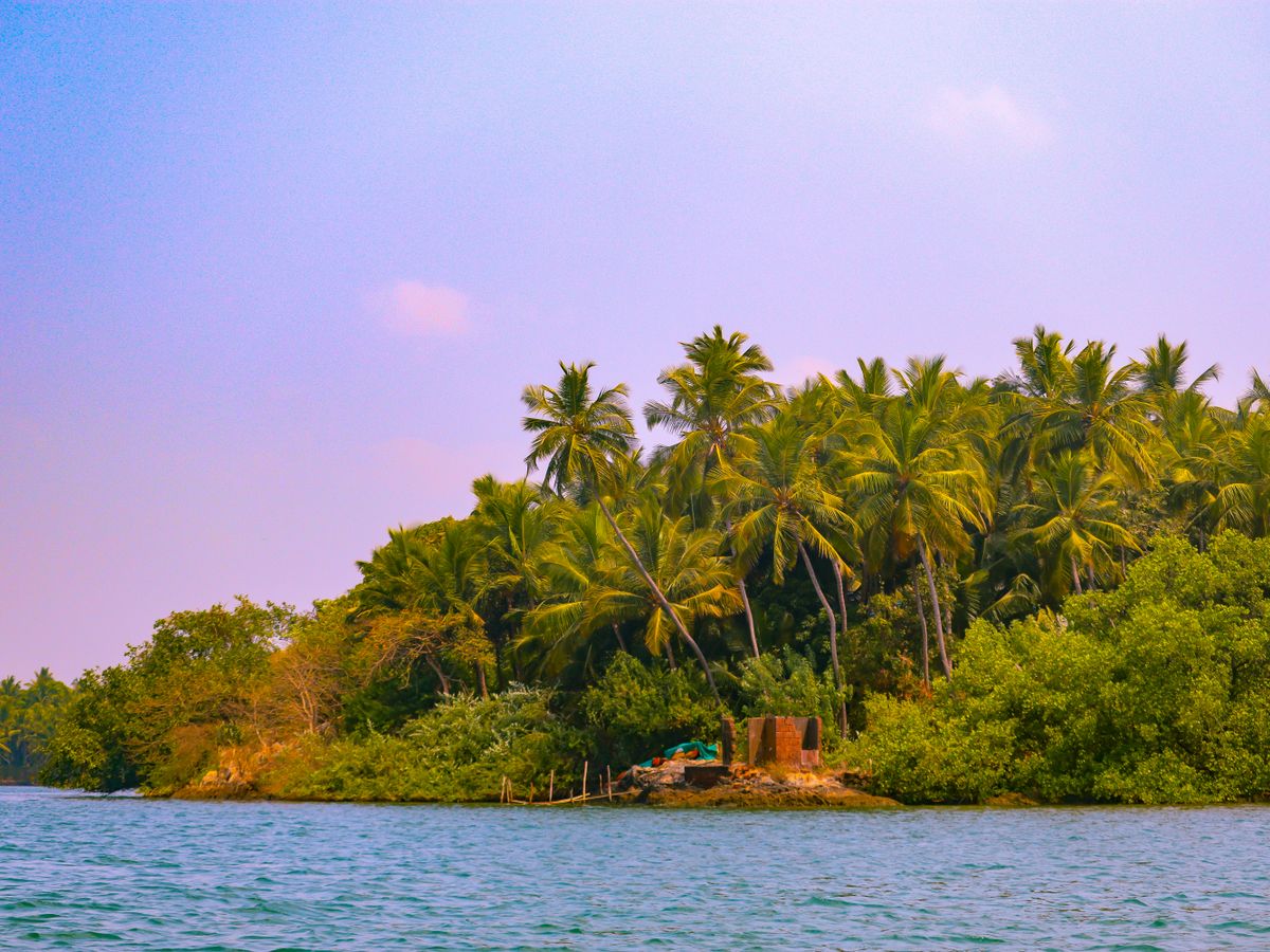 4 Day 'Relax and Revive" Yoga Vacation in Paradise of Goa 3