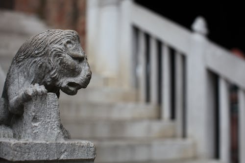 Selective Focus Photography of Gray Concrete Lion Head Stairs Decoration at Daytime