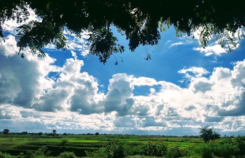 Gratis stockfoto met bewolkte lucht, dubbele pixel, groen