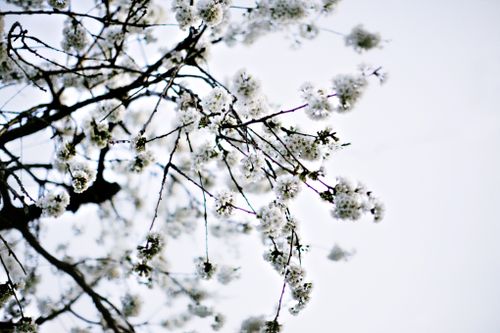 Free stock photo of sky Stock Photo