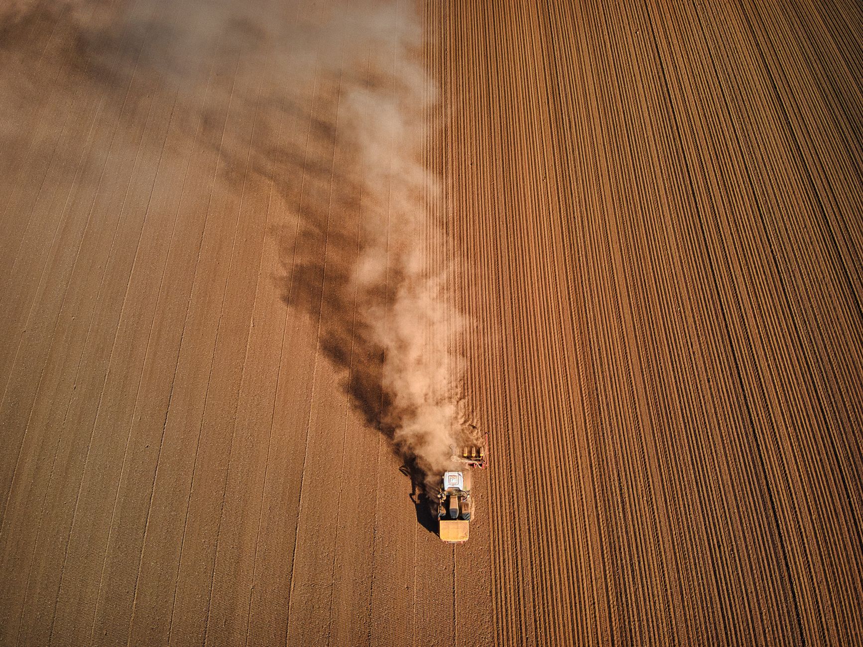 UK Farmers Face Worst Harvest Predictions Amid Extreme Heat