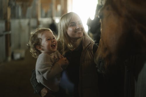 Imagine de stoc gratuită din bebeluș, cal, cară
