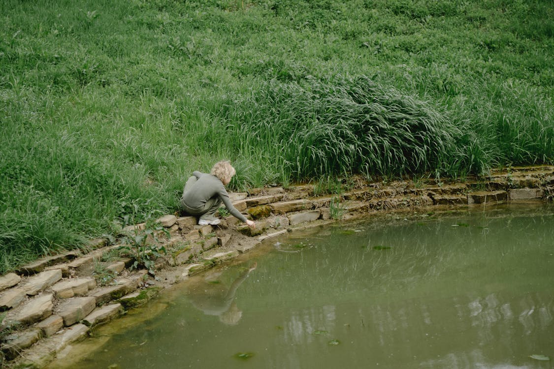 Green Grass Near Body of Water