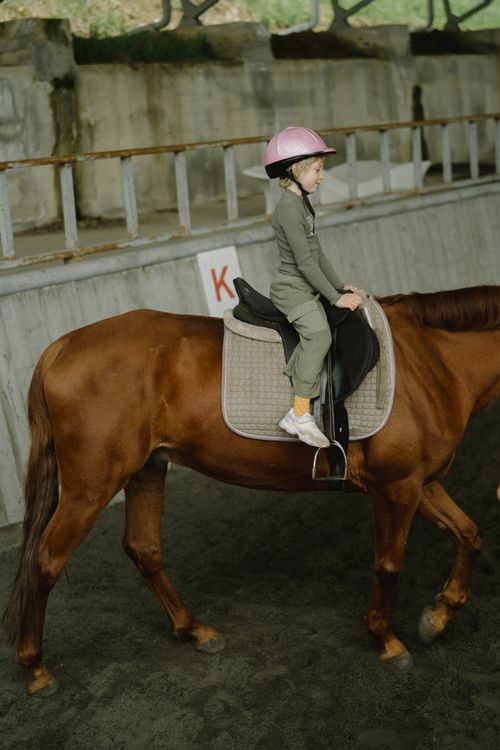 Free Child enjoying horseback riding indoors, showcasing equestrian experience. Stock Photo