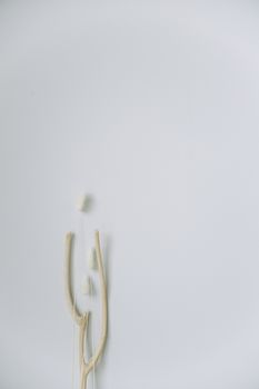 Minimalist decor featuring natural tree branches on a soft white background in Japandi style.