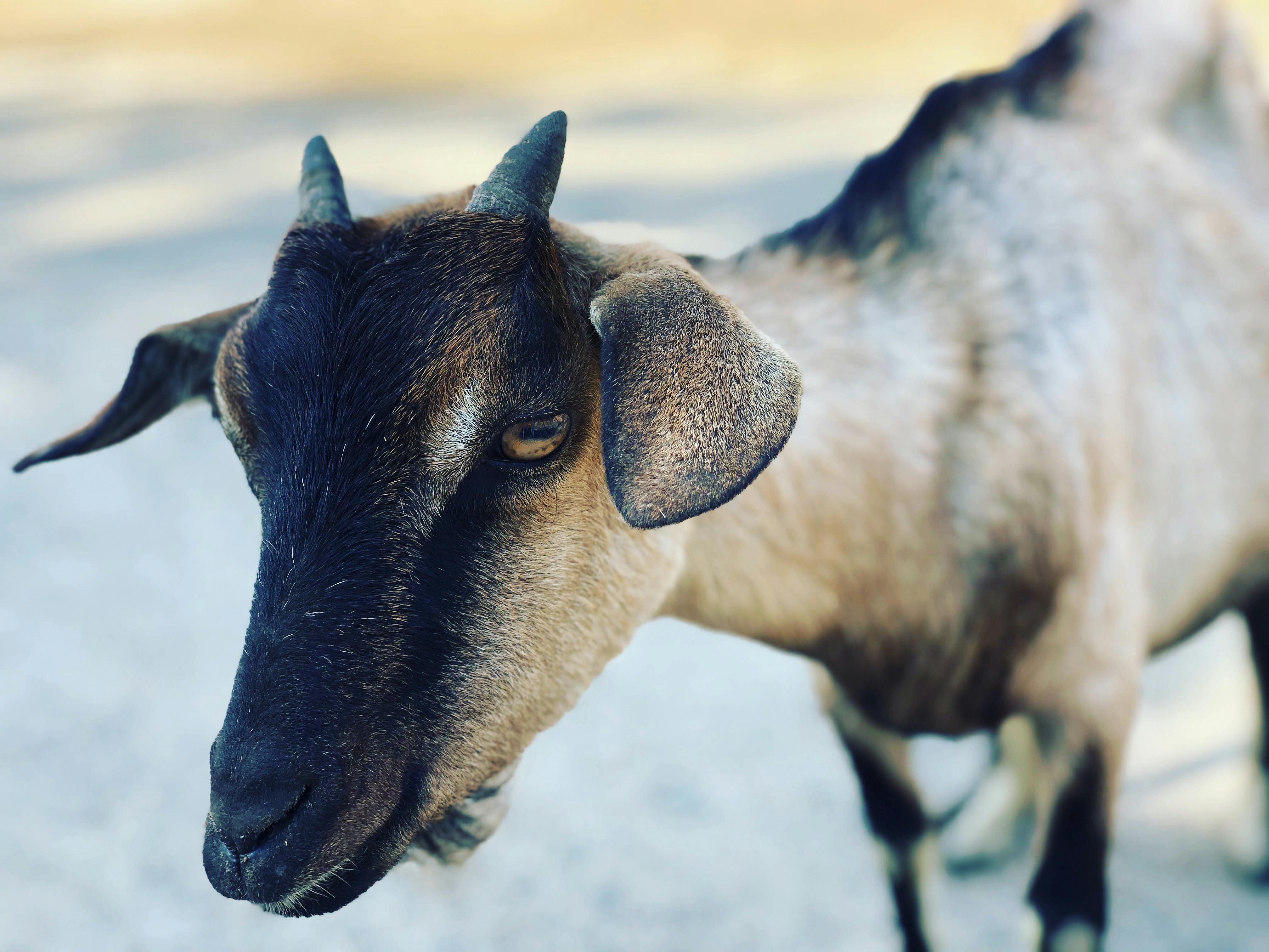 Illustration of mens fashion collection display