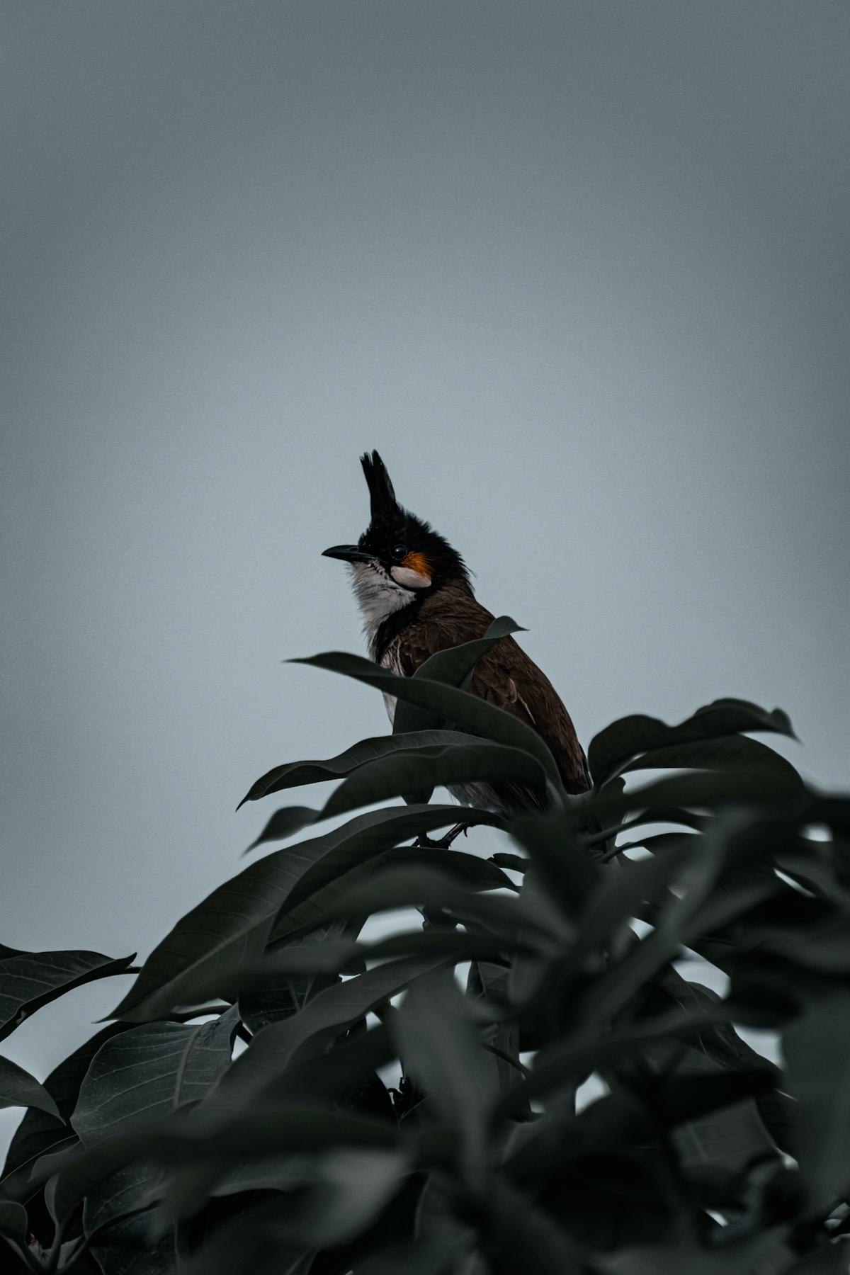 Vintage clothes and accessories laid out in a creative flatlay