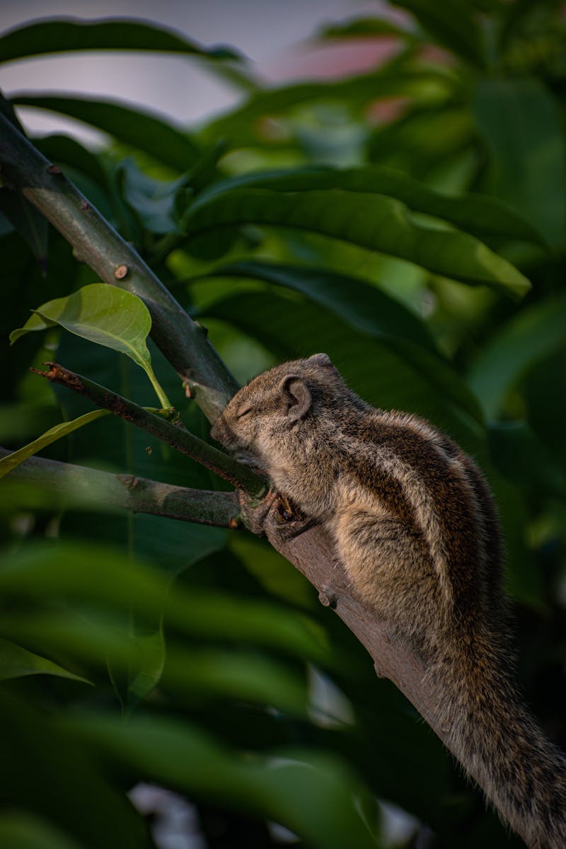 Woman wearing trench coat over knit