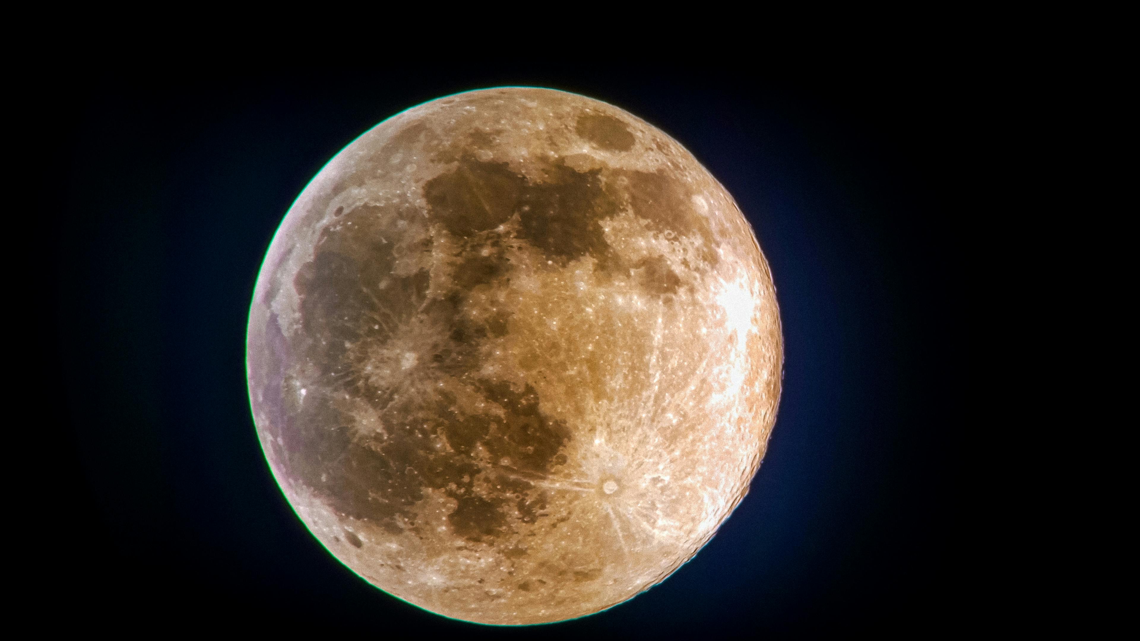 Friends enjoying a winter holiday gathering in a cozy apartment