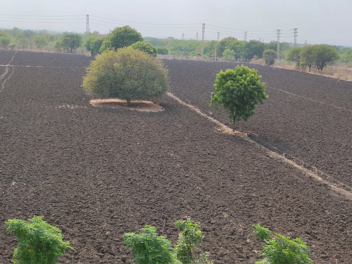 Two stylish friends in Y2K inspired outfits walking in the city, wearing baggy pants and colorful tops