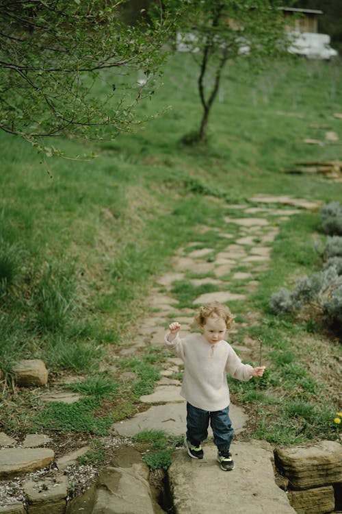 Imagine de stoc gratuită din adorabil, cale pavată, copil