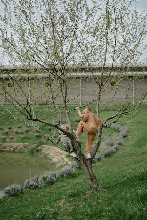 Girl in Brown Shirt and Brown Pants Climbing the Tree