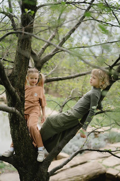 Kids Resting in Tree Branches