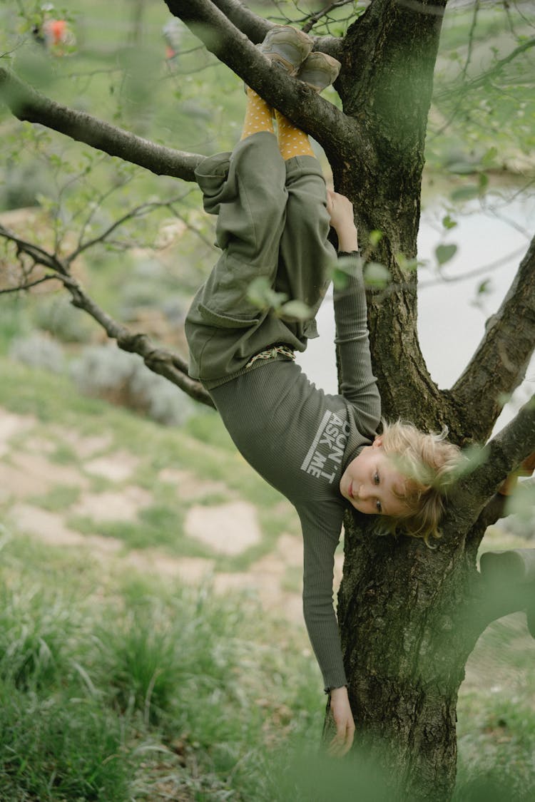 A Boy Hanging On A Tree