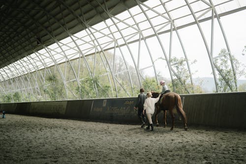Fotobanka s bezplatnými fotkami na tému dieťa, jazda na koni, kôň