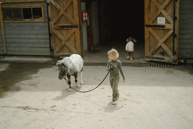 A Boy Holding Horse On A Leash