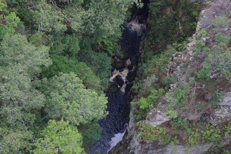 Difference Between Cold Press Juicer And Normal Juicer Difference