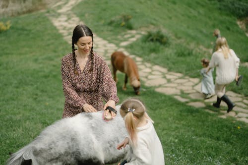 Woman in Brown and White Long Sleeve Dress Standing beside Gray Animal on Green Grass Field