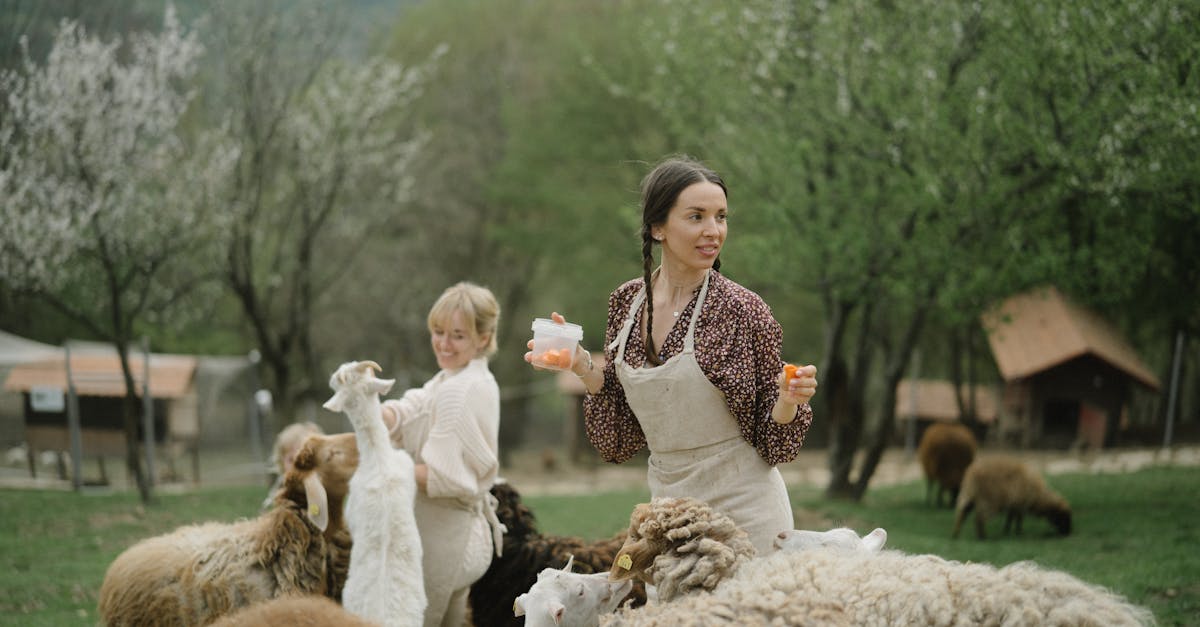 Les bienfaits des vacances en famille Ă la ferme