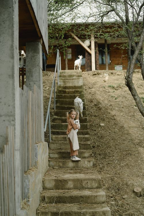 Free A young girl holding a goat on a rustic outdoor staircase surrounded by nature and more goats. Stock Photo