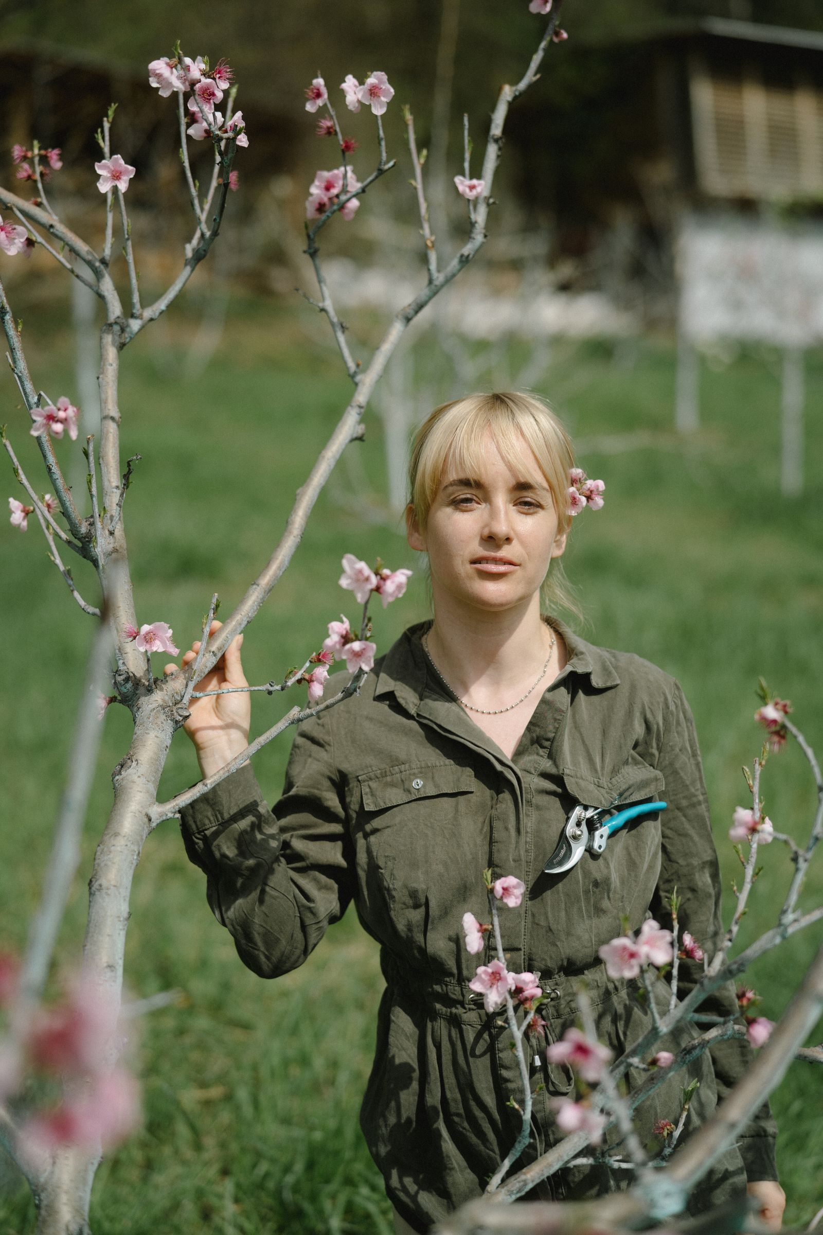 A young woman in green overalls, secateurs in her pocket, standing among blossoming branches