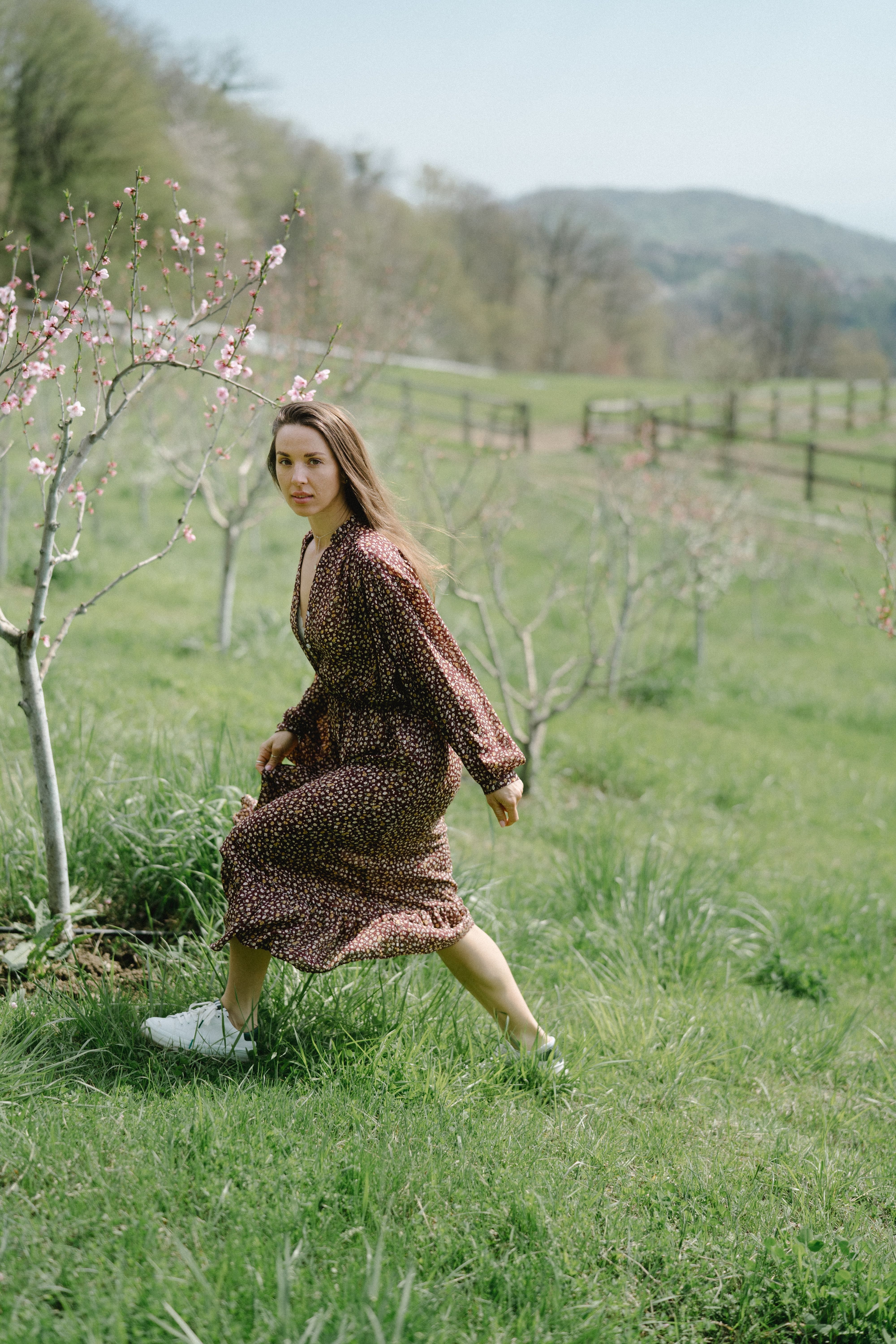 A Woman Wearing a Dress in a Flower Field · Free Stock Photo