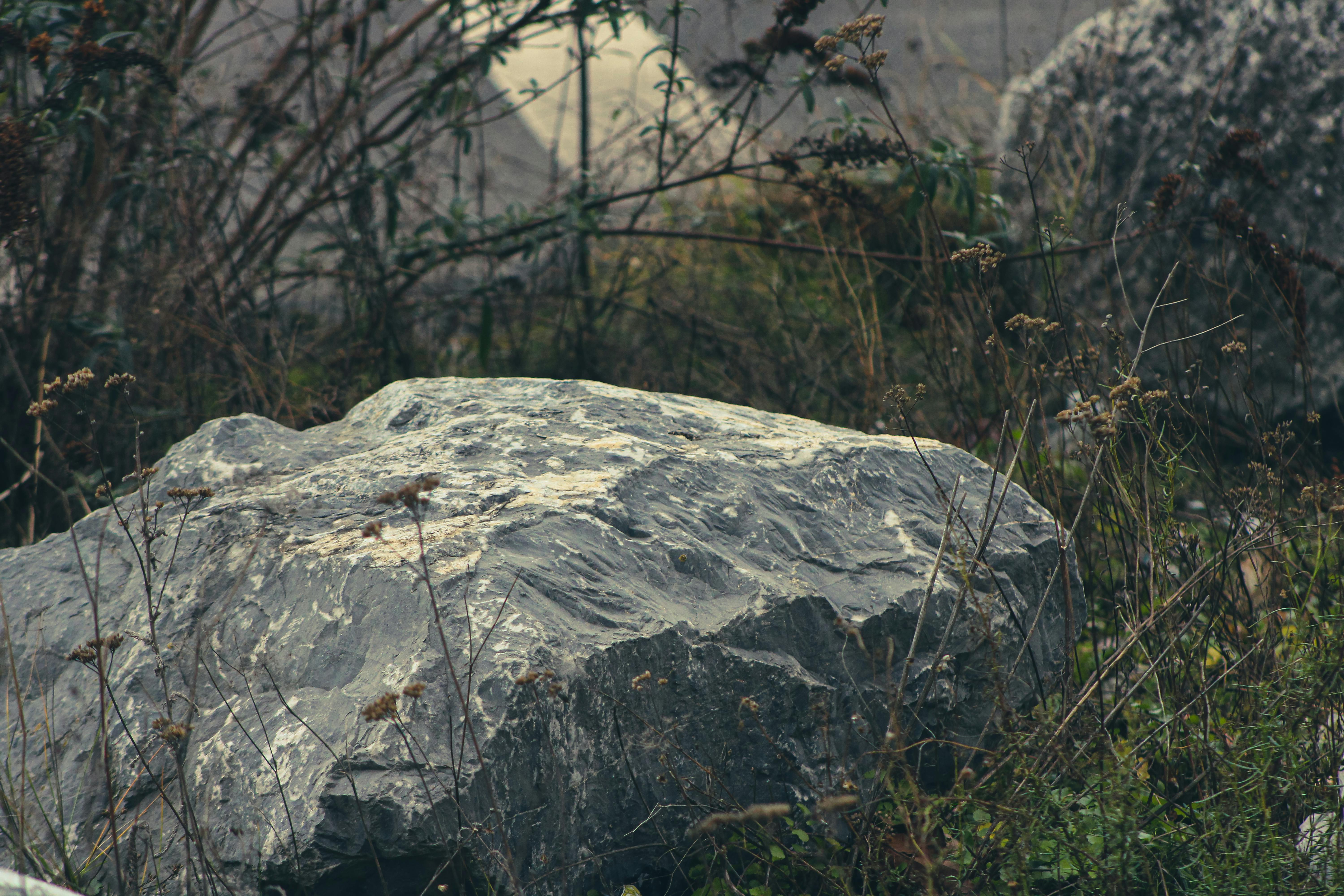 Wildfire burning in a dry forest landscape under smoky skies, illustrating extreme climate-driven fire conditions.