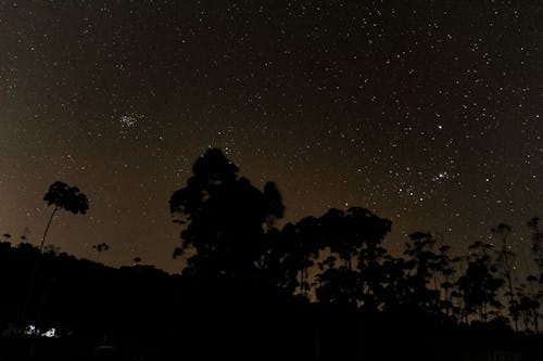 Fotobanka s bezplatnými fotkami na tému aldebaran, ceunoturno, Orion