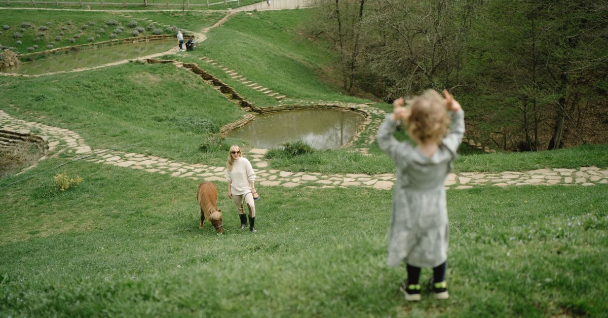 Le Migliori Evasioni in Italia per Famiglie: Attività Imperdibili
