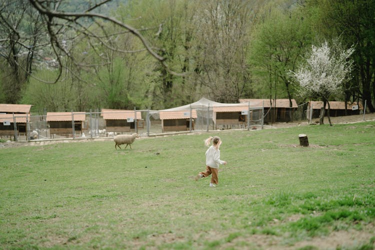 Girl Running In The Field