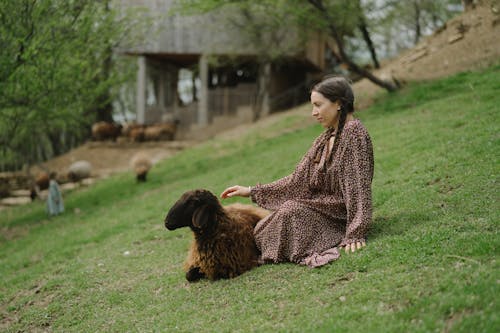 Woman in Brown and White Long Sleeve Dress Sitting on Grass beside Brown Sheep