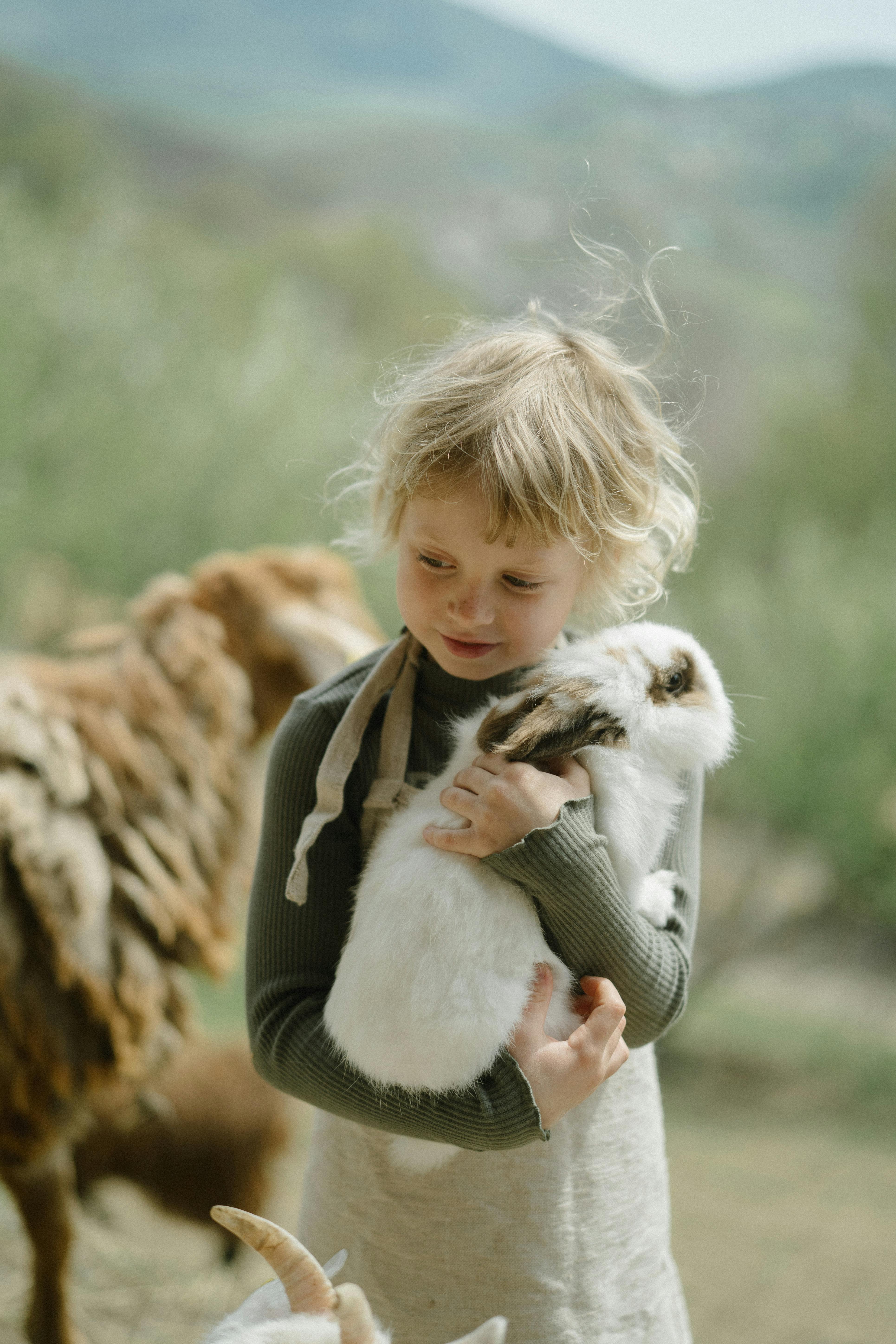 A close-up shot of a child gently petting a lamb in a petting zoo setting