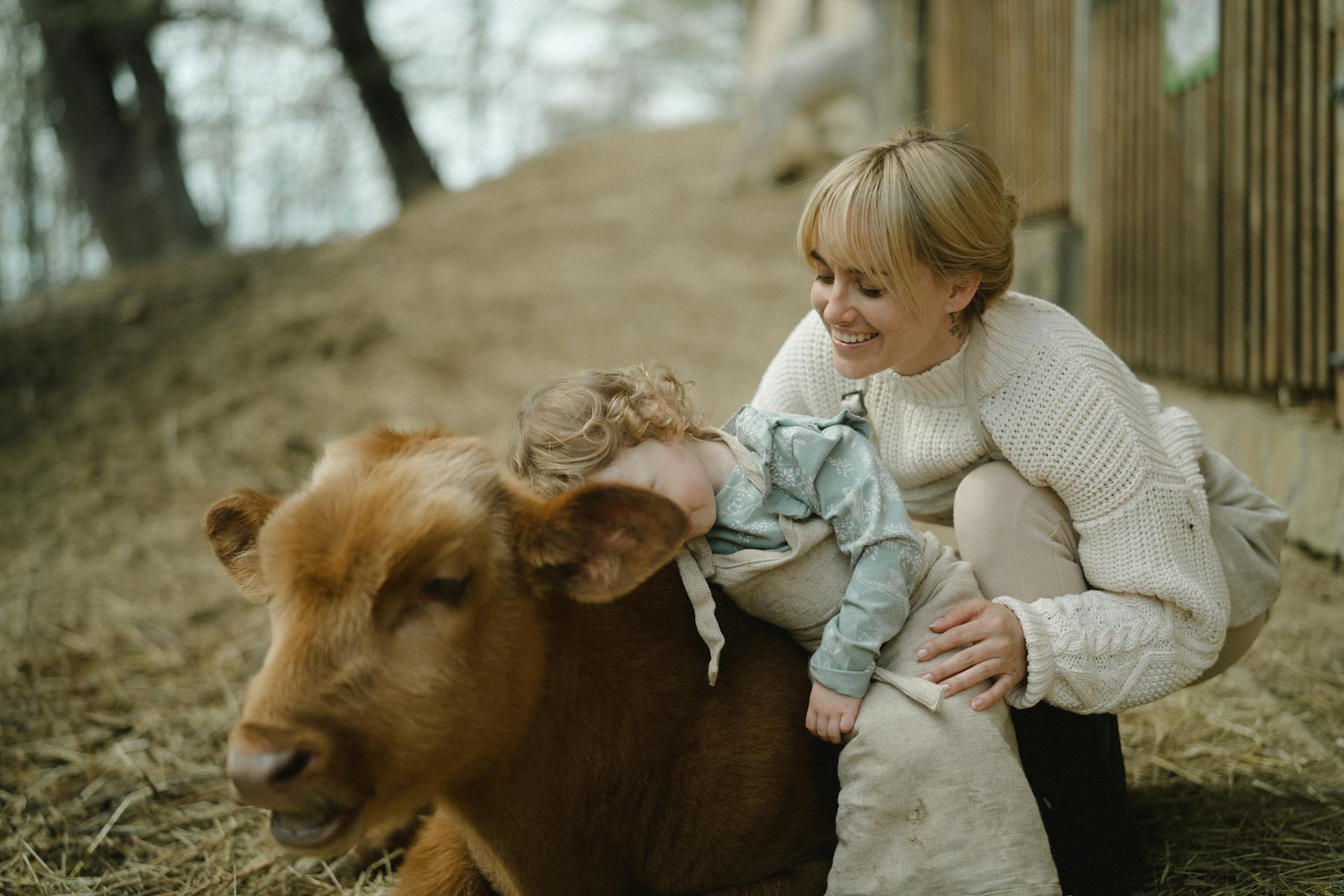 Mother and Daughter Petting a Calf in a Farm