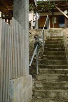 A Kid Sliding Down on a Handrail 