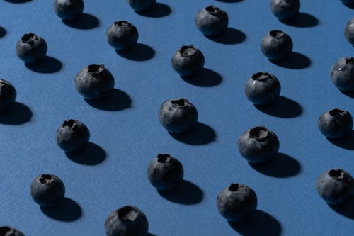 Close-up of Blueberries Lying in Rows on Blue Surface