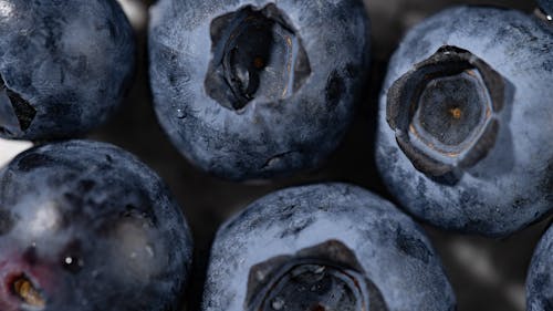 Free Blueberries in Close Up Photography Stock Photo