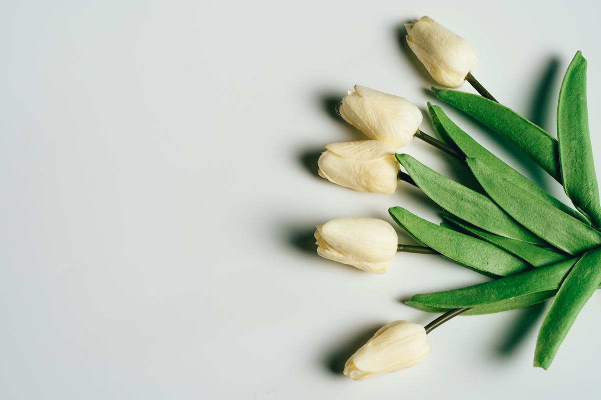 Close-up of a t-shirt with a graphic print in a concert crowd