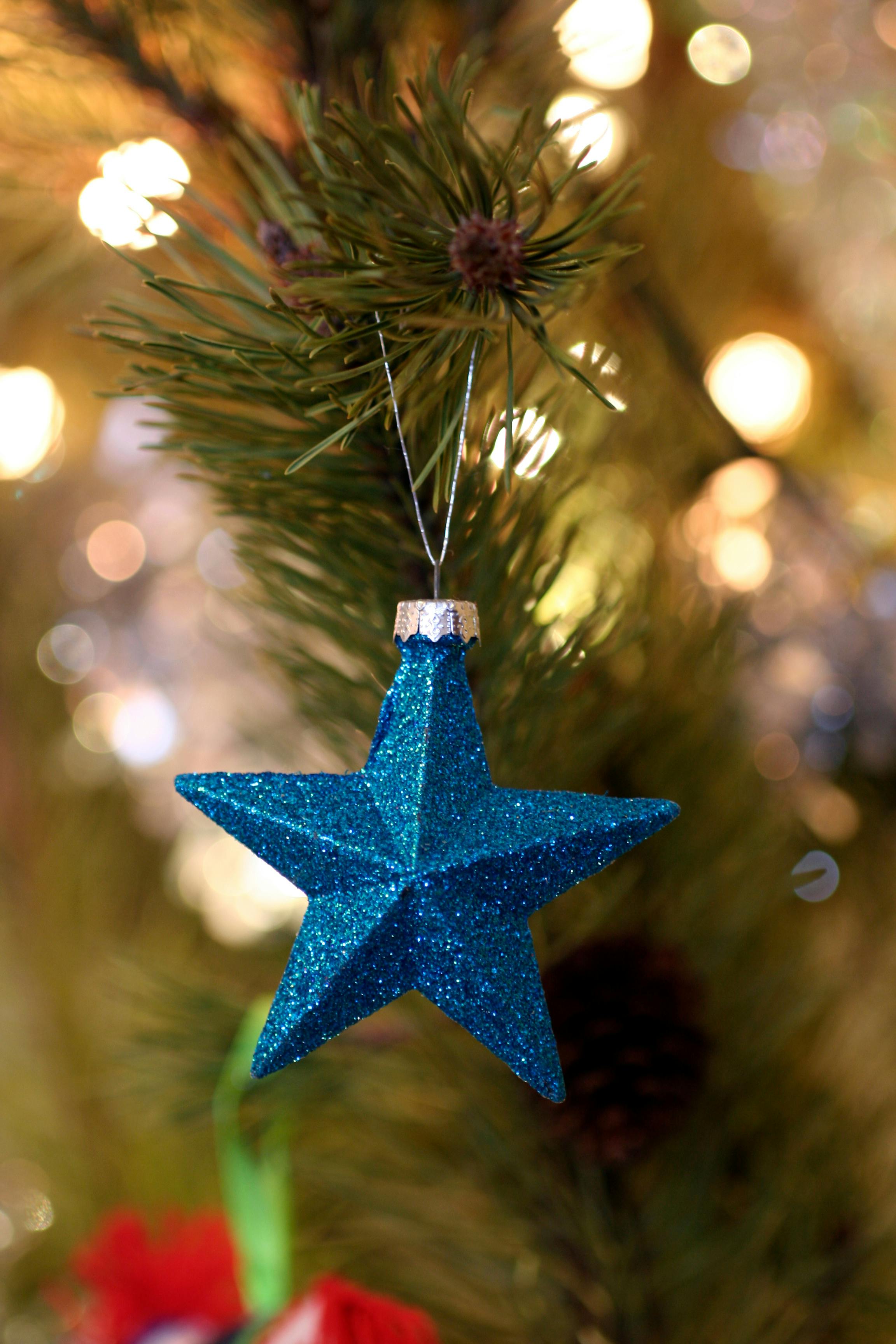 shallow focus photography of blue star christmas tree decor
