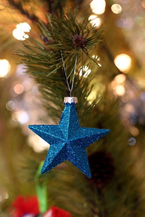 Shallow Focus Photography of Blue Star Christmas Tree Decor