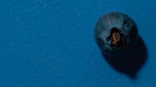Close-Up Photograph of a Blueberry
